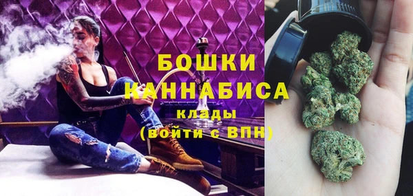 мяу мяу мука Ессентукская