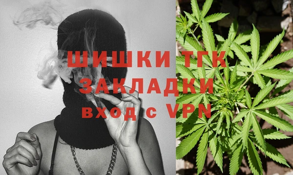 индика Баксан