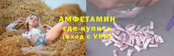 индика Баксан